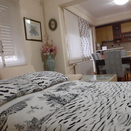 Spacious 80M2 Apartment In The Center Ljubuški Exterior foto